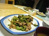 みそだれーゴーヤと豚肉