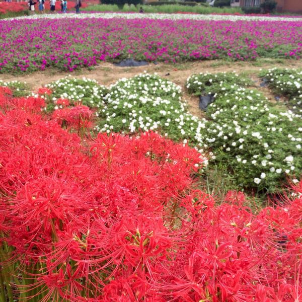 rblog-20151002131608-01.jpg