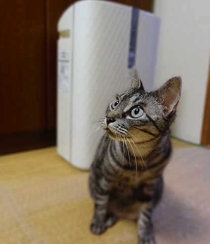 2012100705