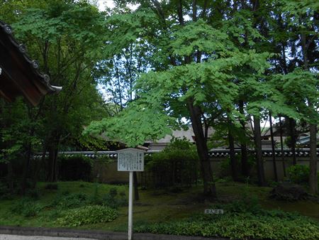 京都　下賀茂神社