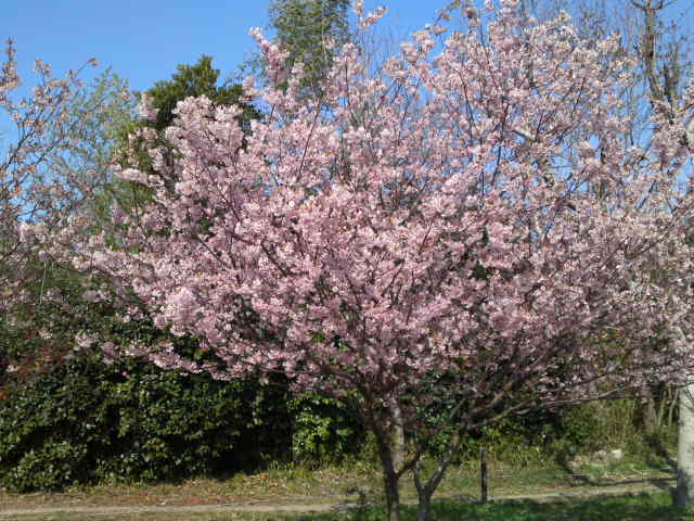 2012-03-30 23:21:05