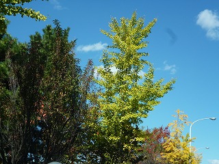 P1110887ss.jpg