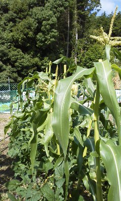160614_0916~01.jpg