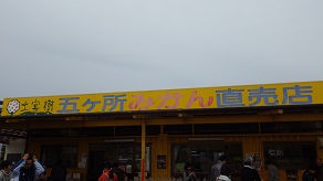 IMGP7571.JPG