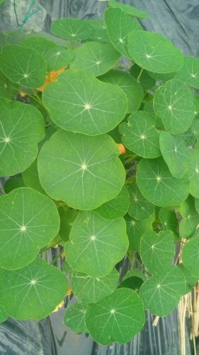 rblog-20180715223439-01.jpg
