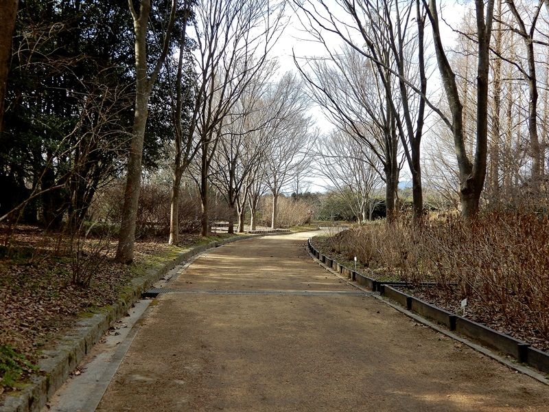 外周路3