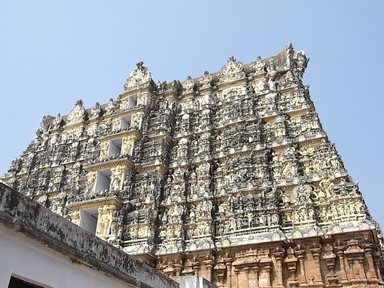 RIMG0209.JPG