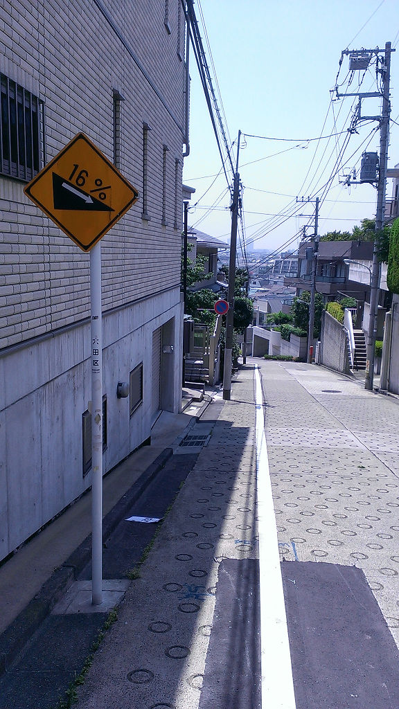 IMAG0826.jpg