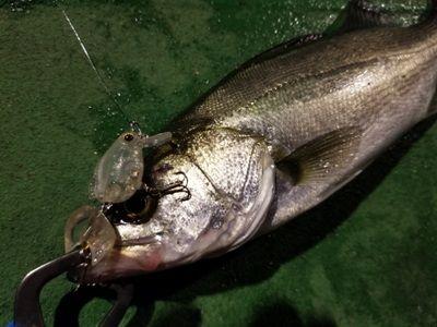 100均のキースタンド  okachinの釣りバカ日記 - 楽天ブログ