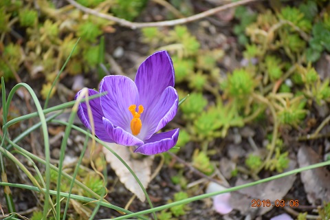 DSC_0088.JPG