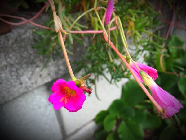 rblog-20151029140616-02.jpg