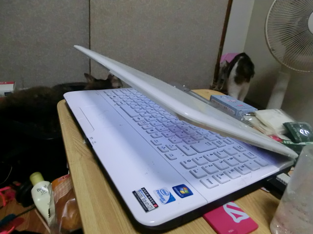 CIMG0314.JPG