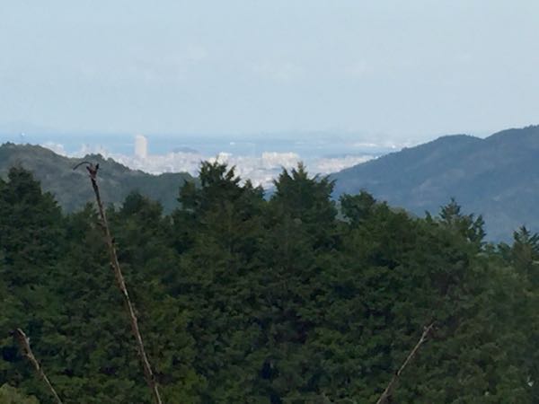 rblog-20160205223544-05.jpg