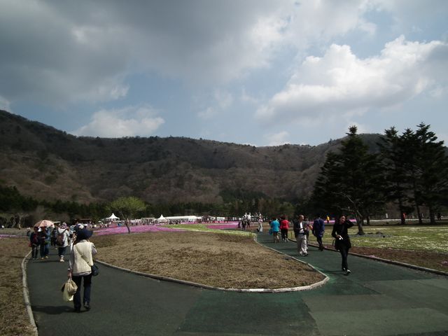 DSCF3778.JPG