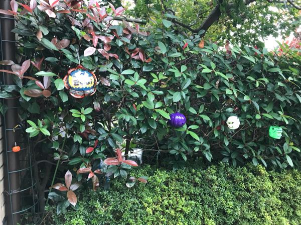 rblog-20181104093907-02.jpg