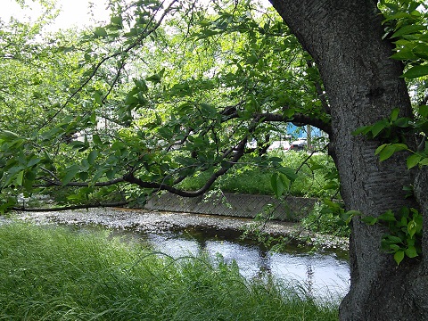 IMG_20170507_124353.jpg