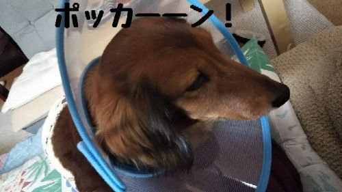 rblog-20181023144323-02.jpg