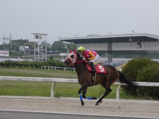 2017ヤングジョッキーズシリーズ トライアルラウンド笠松 | 地方競馬の