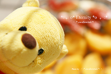 Photo by swallowtail　E.jpg
