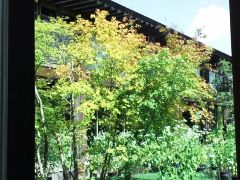 120925_1244~01.jpg