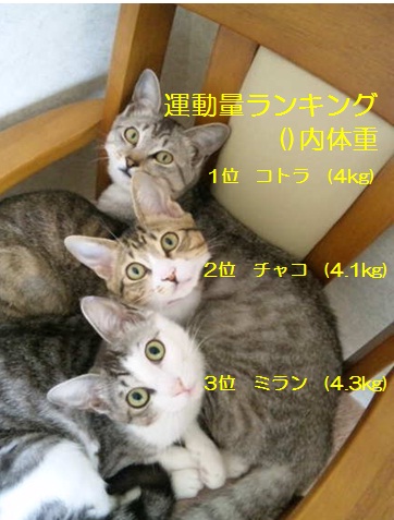 20120727_2.jpg