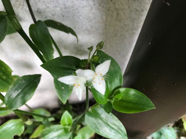 rblog-20180628172308-04.jpg