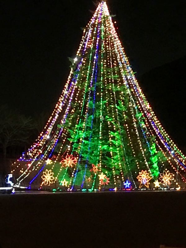 rblog-20161209104025-03.jpg