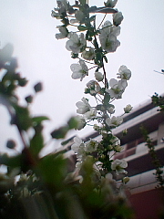 conv0584.JPG