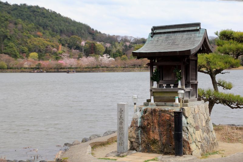 広沢の池_002.jpg