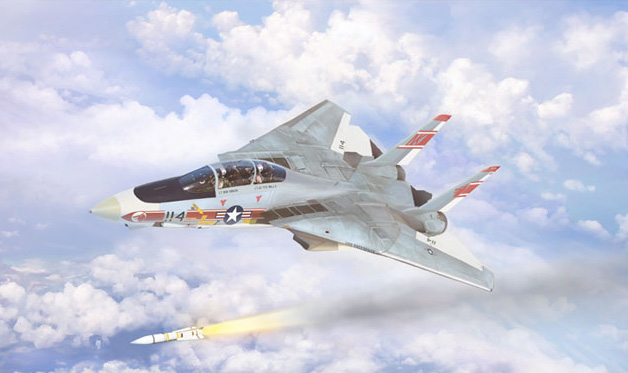 F-14-Tomcat-VF-1-16x24-Print-700.jpg