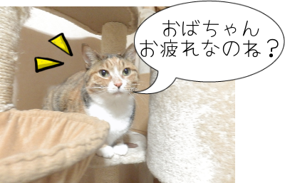 P4160006.png