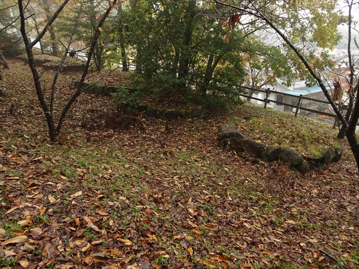 DSC06233_R.JPG