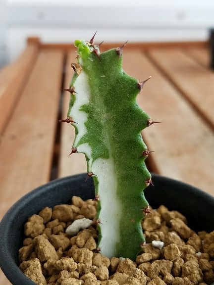 rblog-20180721084739-06.jpg