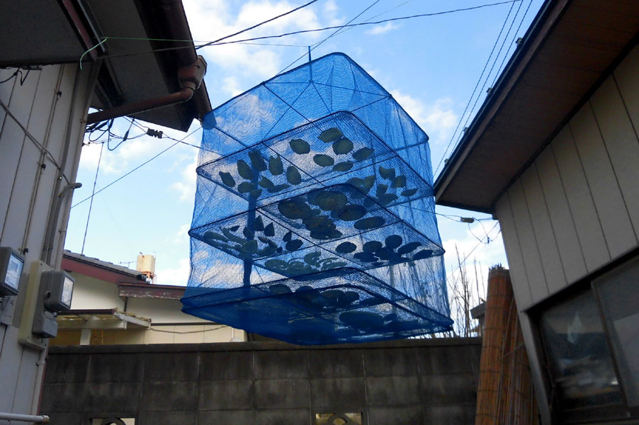 干し野菜_2.jpg