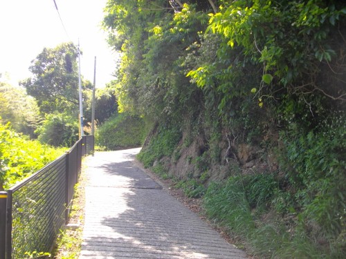 衣笠城大善寺切岸 (500x375).jpg