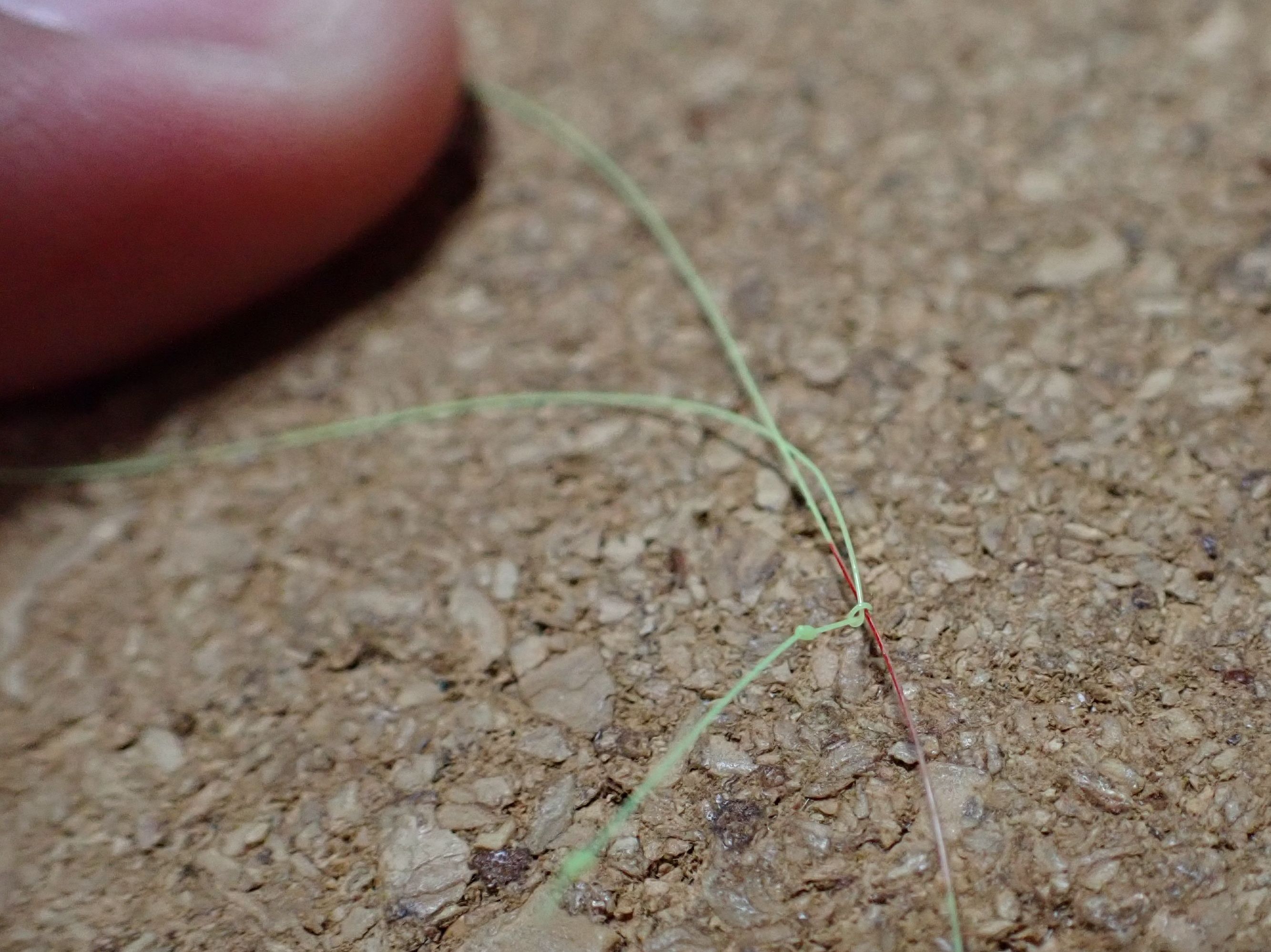 ルアーマン鮎釣り 友釣りを始める 実釣前に知っておきたかった事 続 あんさん野遊びダイヤリー フィッシングメモ 楽天ブログ