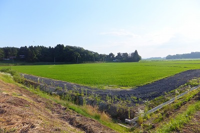 DSCF8124.jpg