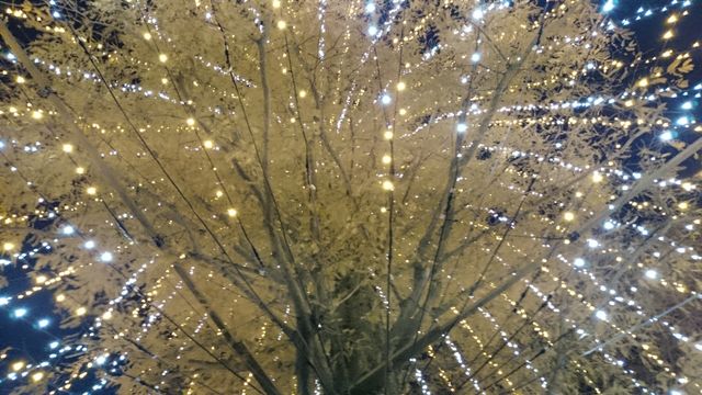 2015-12-20 17.36.09.jpg