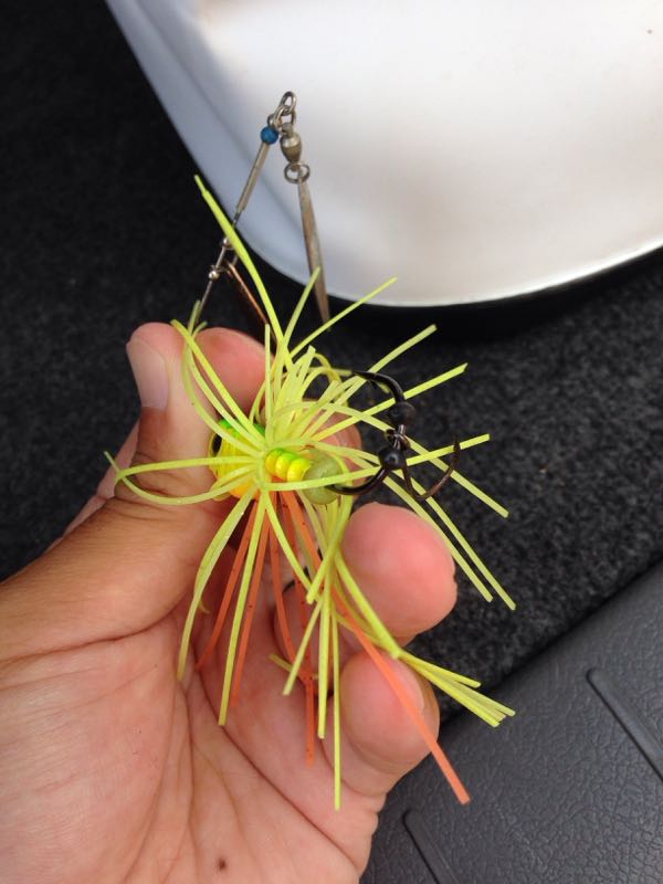 rblog-20150813071542-02.jpg