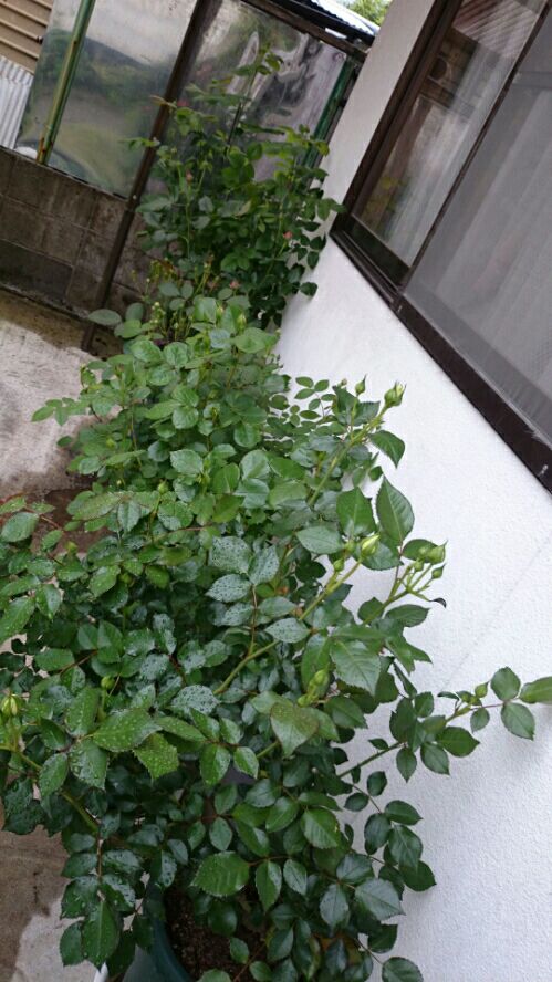 rblog-20160509145703-01.jpg