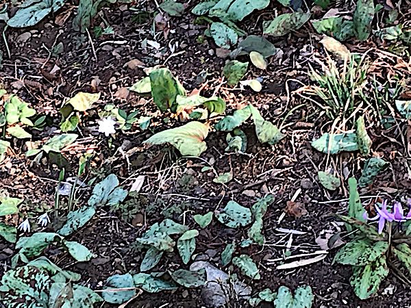 rblog-20190320170809-09.jpg