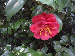 130324_124633_R.jpg