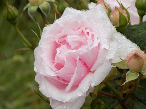 DSCN3905.JPG