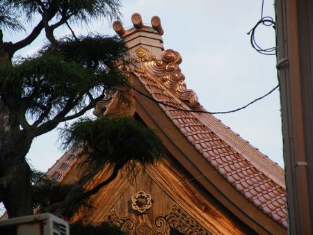 DSCF8400-450.jpg
