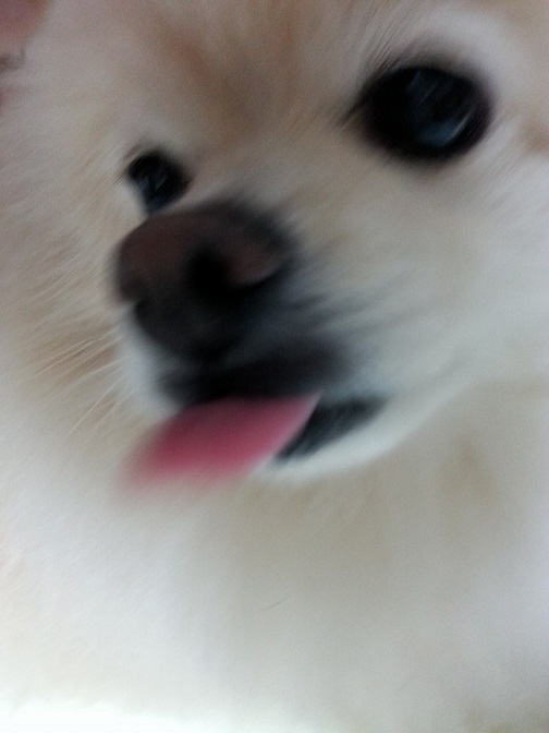 momo2