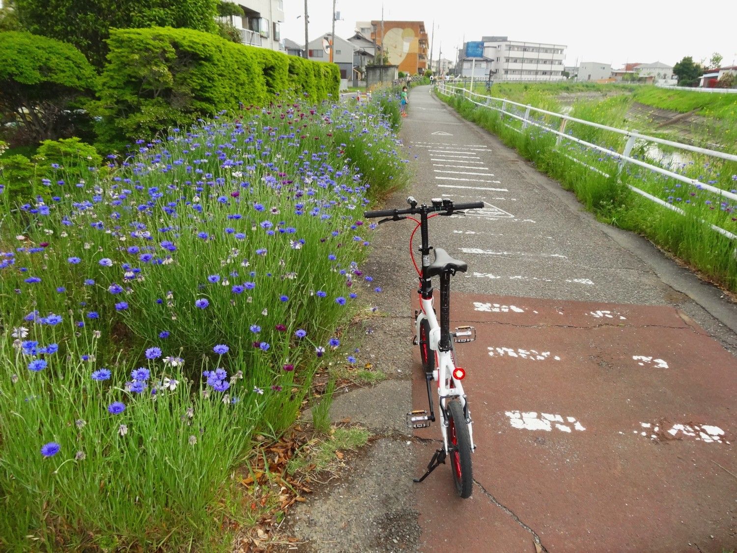 高崎市内でサイクリング ２０２０年５月４日 山と空が友だち ドローンで空撮 楽天ブログ