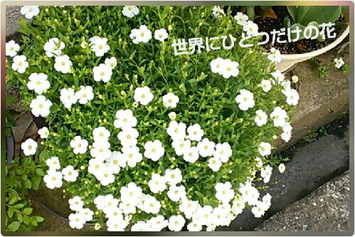 rblog-20160420201458-00.jpg