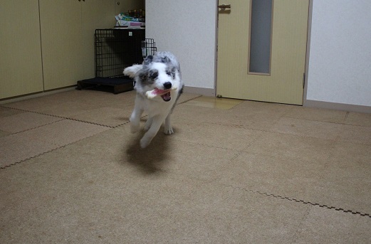 走る