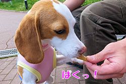 20150521ぱくっ！
