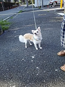 朝んぽ３